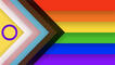 A rectangular flag consisting of six rainbow stripes in red, orange, yellow, green, blue, and purple, with a chevron on the left consisting of the intersex flag (yellow with a purple ring), followed by white, pink, blue, brown, and black stripes